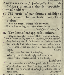 snapshot image of ADVERSITY.  (1785)